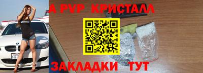 амф Донской
