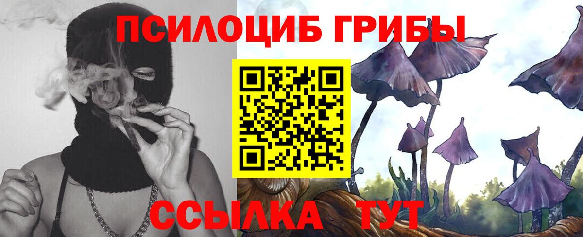 Псилоцибиновые грибы Cubensis Арсеньев